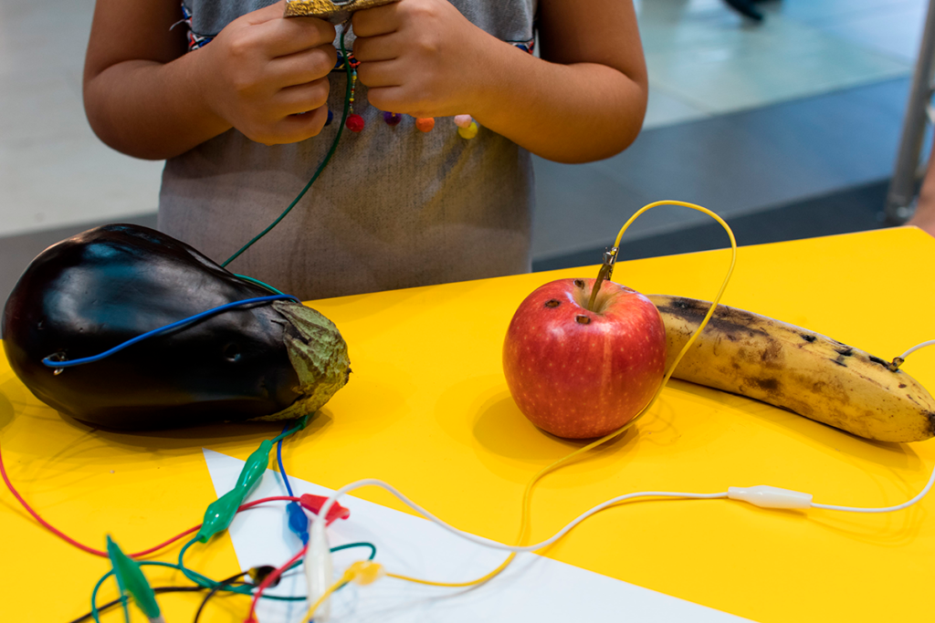 Steam Escola do Futuro